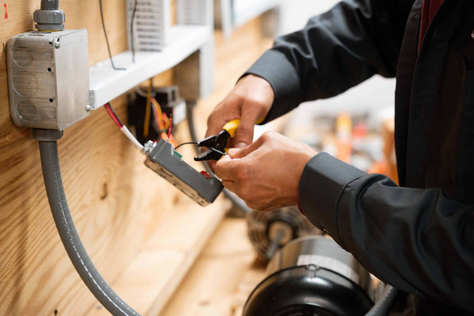 Technology specialist inspecting network equipment